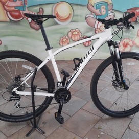 Specialized RockHopper 29er