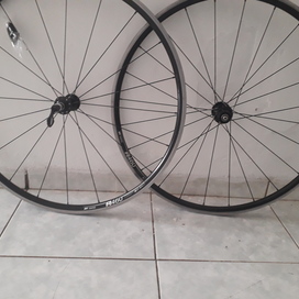 Rodas DT Swiss R460