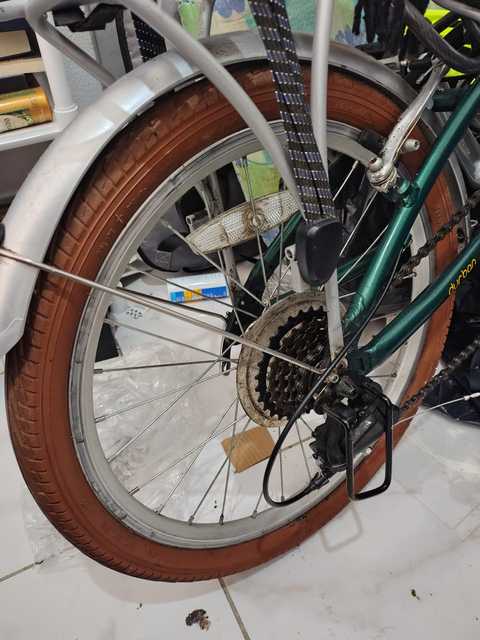 Foto 7