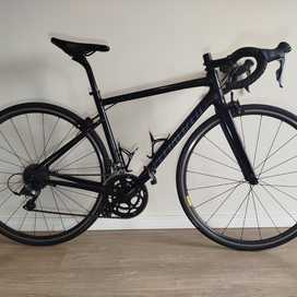 Specialized Allez