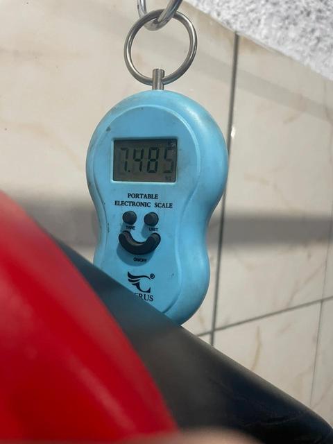 Foto 8