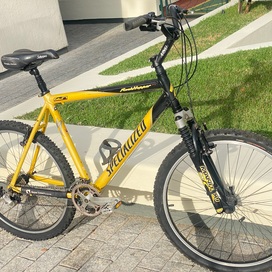 Specialized Rockhopper Pro