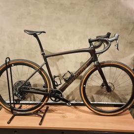 Specialized Diverge Expert Carbon