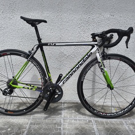 Cannondale EVO Carbon