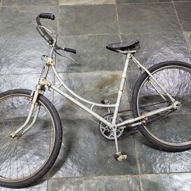 Goricke Feminina Anos 60