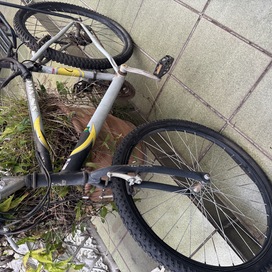 Mountain Bike Aspen