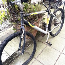 Mountain Bike Aspen